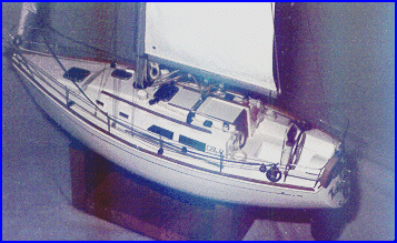 Cal 33