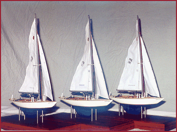 shields 30