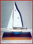 shields 30